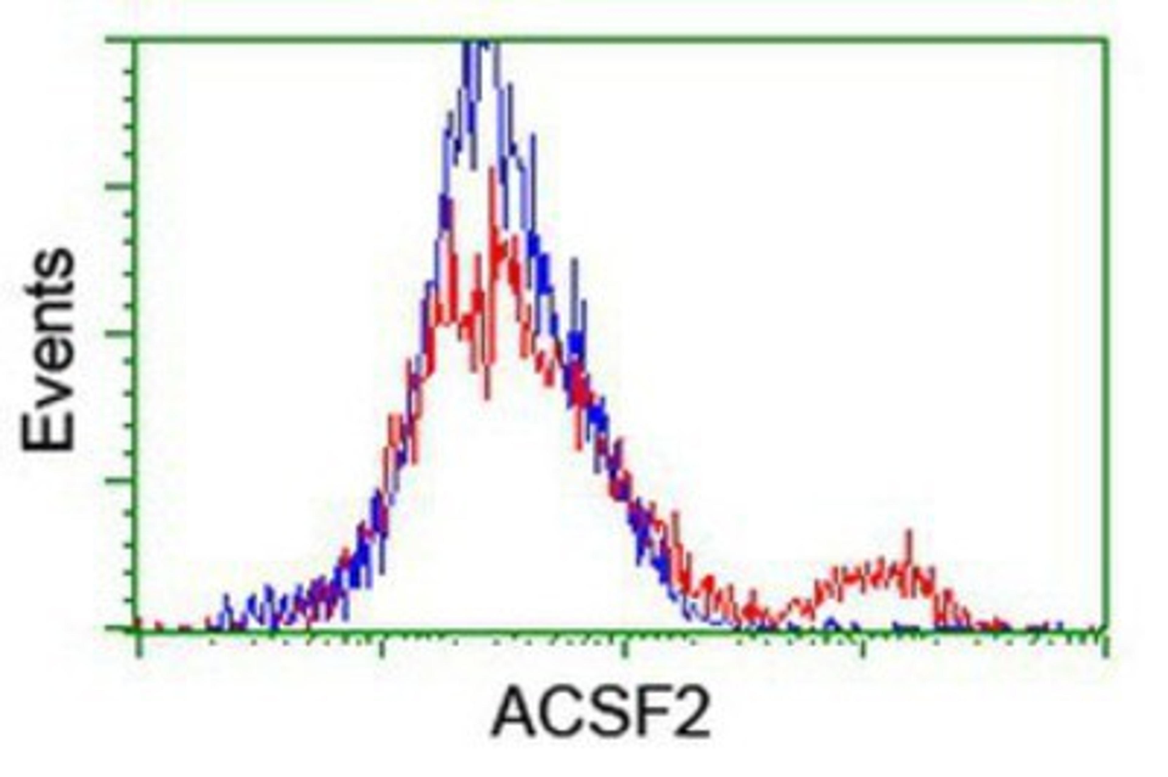 Flow Cytometry: ACSF2 Antibody (6E4) [NBP2-02027] - HEK293T cells transfected with either overexpression plasmid (Red) or empty vector control plasmid (Blue) were immunostained by anti-ACSF2 antibody, and then analyzed by flow cytometry.