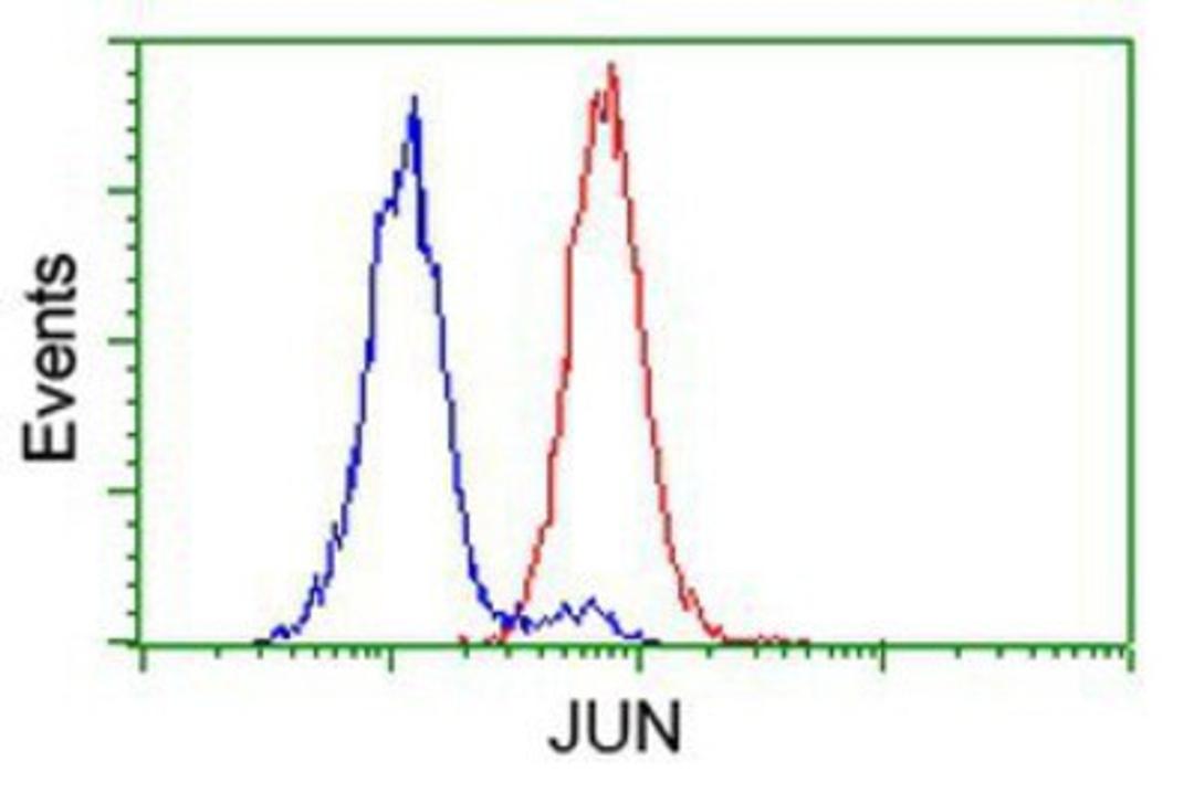 Flow Cytometry: Jun Antibody (3G2) [NBP2-02258] - Analysis of Hela cells, using anti-Jun antibody, (Red), compared to a nonspecific negative control antibody (Blue).