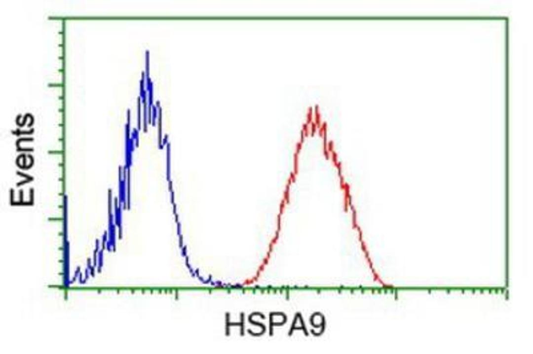 Flow Cytometry: GRP75/HSPA9B/Mortalin Antibody (9F8) [NBP1-47801] - Analysis of Jurkat cells, using anti-Mortalin antibody, (Red), compared to a nonspecific negative control antibody (Blue).