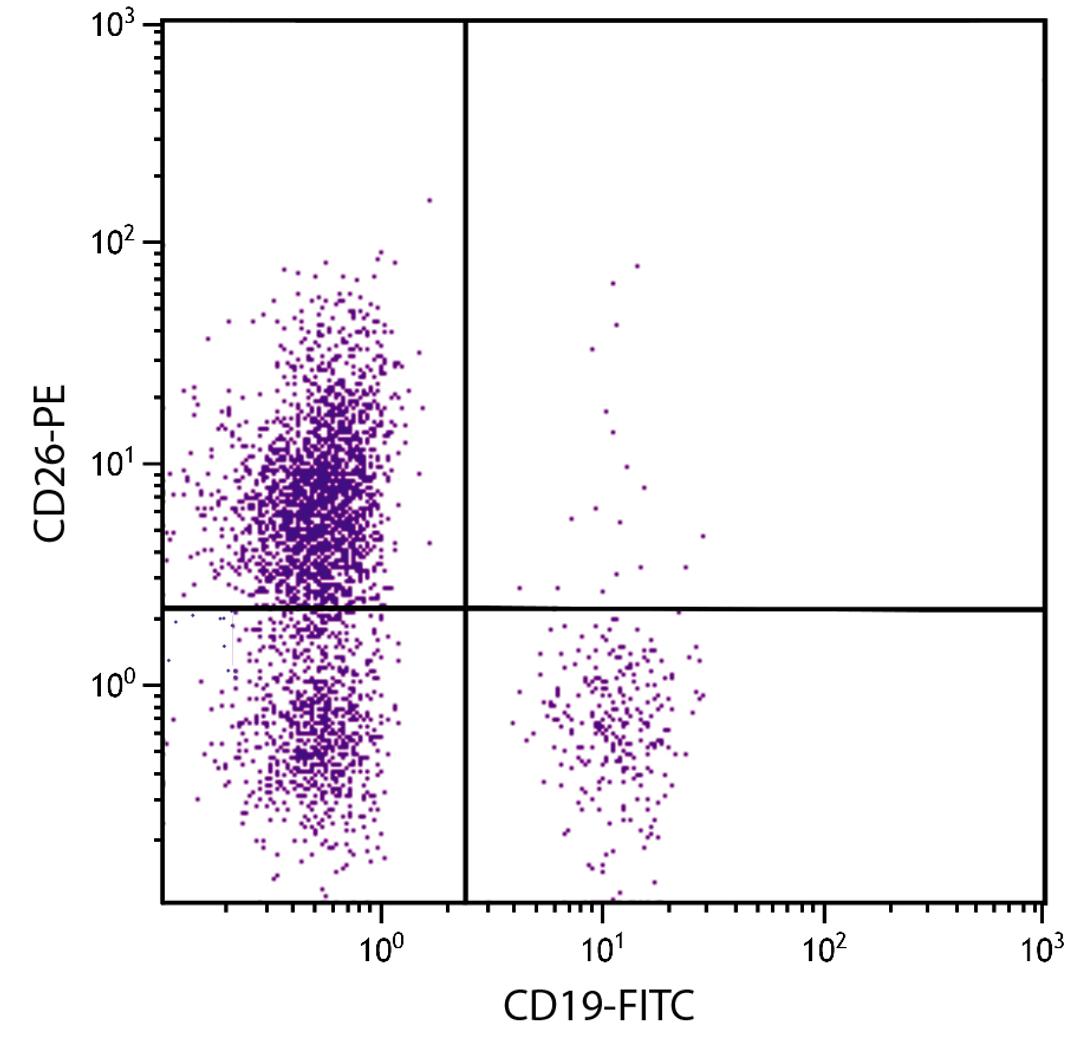 Human peripheral blood lymphocytes were stained with Mouse Anti-Human CD26-PE (Cat. No. 99-615) and Mouse Anti-Human CD19-FITC .