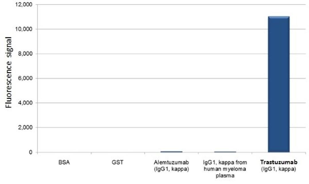 Human Anti-Trastuzumab Antibody specificity ELISA