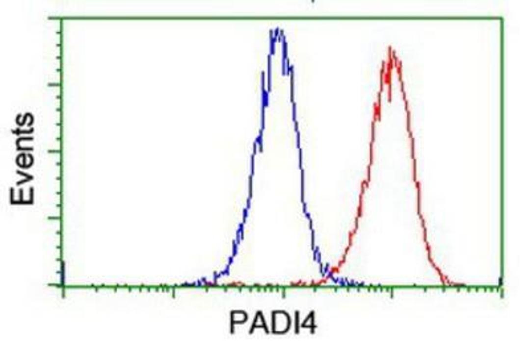 Flow Cytometry: PADI4 Antibody (4H5) [NBP2-02082] -  Analysis of Jurkat cells, using anti-PAD4 antibody, (Red), compared to a nonspecific negative control antibody (Blue).