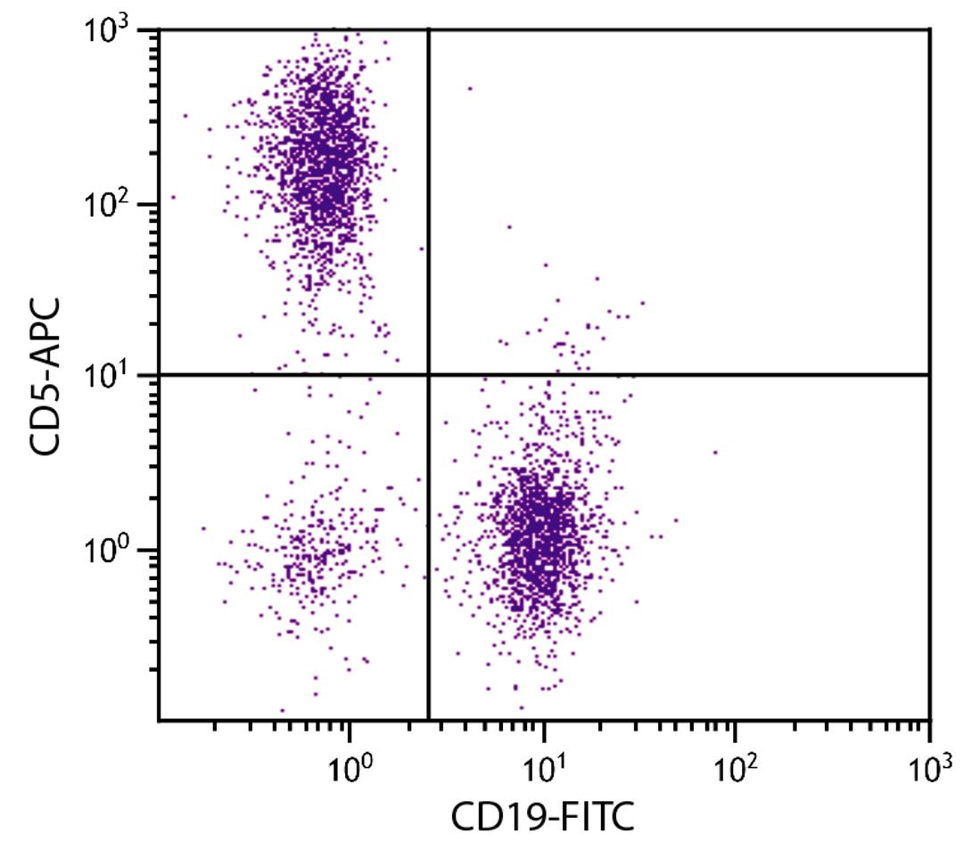 BALB/c mouse splenocytes were stained with Rat Anti-Mouse CD5-APC (Cat. No. 98-612) and Rat Anti-Mouse CD19-FITC .