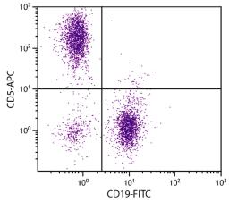 BALB/c mouse splenocytes were stained with Rat Anti-Mouse CD5-APC (Cat. No. 98-612) and Rat Anti-Mouse CD19-FITC .