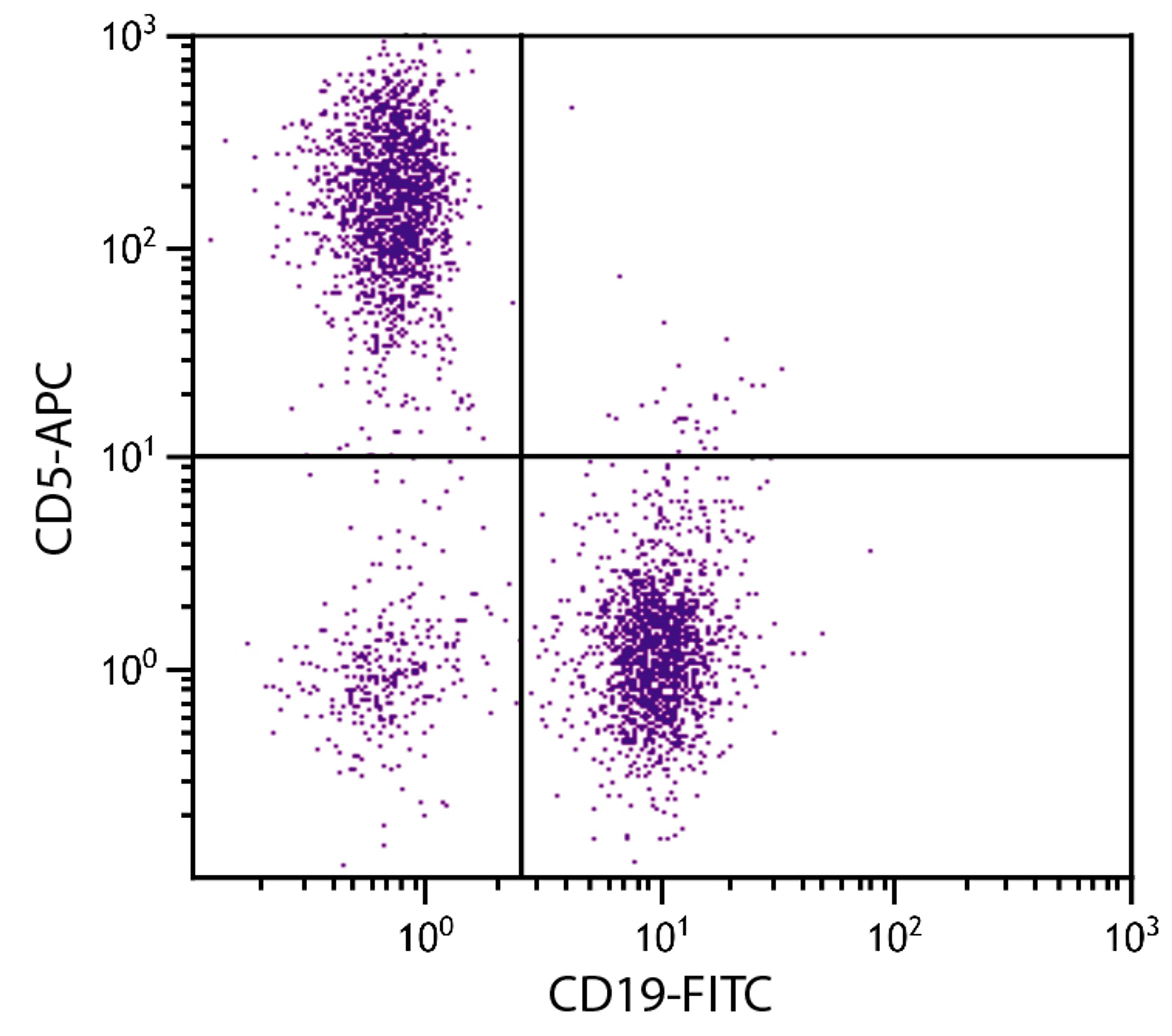 BALB/c mouse splenocytes were stained with Rat Anti-Mouse CD5-APC (Cat. No. 98-612) and Rat Anti-Mouse CD19-FITC .