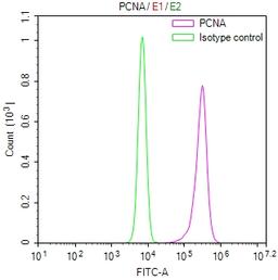 Overlay Peak curve showing JK cells stained with CSB-RA017621MA1HU (red line) at 1:300. Then 10% normal goat serum was Incubated to block non-specific protein-protein interactions followed by the antibody (1µg/1*10<sup>6</sup>cells) for 45 min at 4°C. The secondary antibody used was FITC-conjugated Goat Anti-Mouse IgG(H+L) at 1/200 dilution for 35 min at 4°C. Isotype control antibody (green line) was mouse IgG1 (1µg/1*10<sup>6</sup>cells) used under the same conditions. Acquisition of >10, 000 events was performed.
