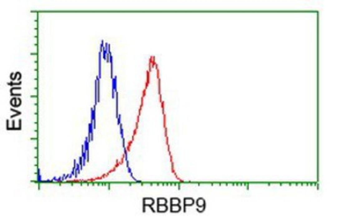 Flow Cytometry: RBBP9 Antibody (4G3) [NBP2-03025] - Analysis of Hela cells, using anti-RBBP9 antibody, (Red), compared to a nonspecific negative control antibody (Blue).