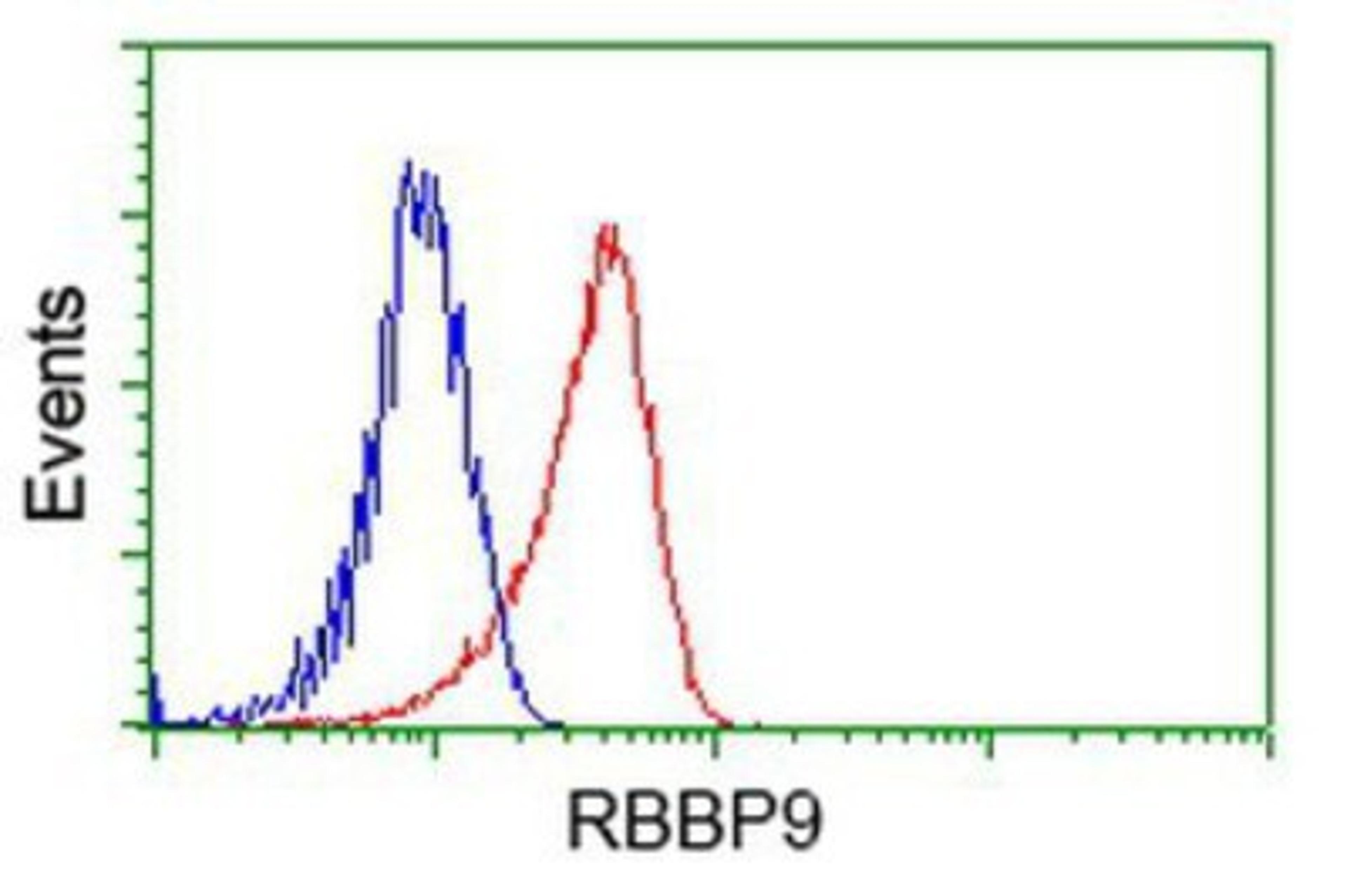 Flow Cytometry: RBBP9 Antibody (4G3) [NBP2-03025] - Analysis of Hela cells, using anti-RBBP9 antibody, (Red), compared to a nonspecific negative control antibody (Blue).