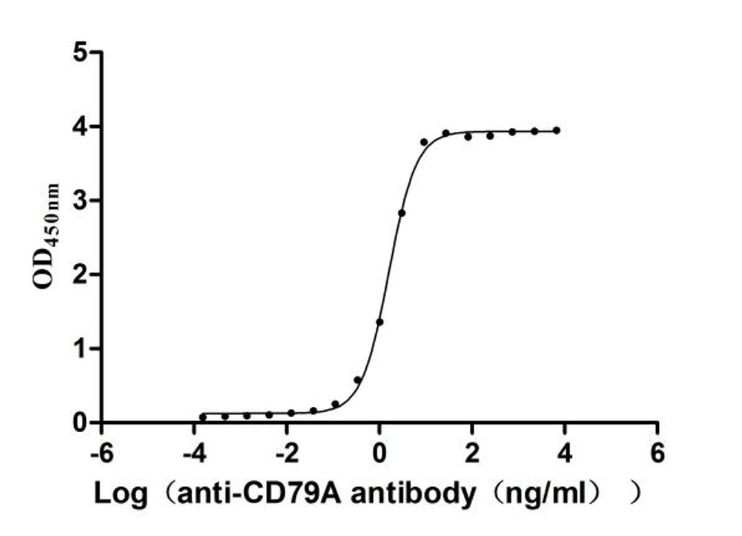 The Binding Activity of Human CD79A with Anti-CD79A recombinant antibody. Activity: Measured by its binding ability in a functional ELISA. Immobilized Human CD79A(CSB-MP004957HU1) at 2 μg/mL can bind Anti-CD79A recombinant antibody. The EC<sub>50</sub> is 1.521-1.700 ng/mL.