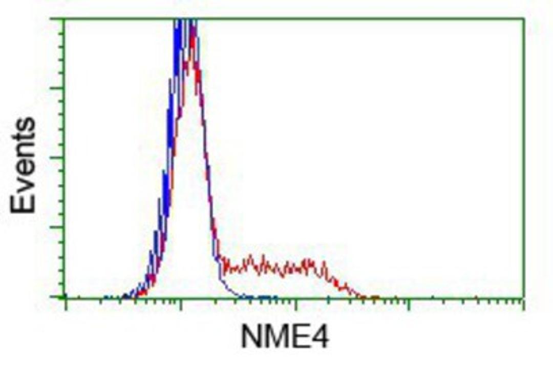 Flow Cytometry: NME4 Antibody (1A5) [NBP2-02487] - HEK293T cells transfected with either pCMV6-ENTRY NME4.(Red) or empty vector control plasmid (Blue) were immunostained with anti-NME4 mouse monoclonal, and then analyzed by flow cytometry.