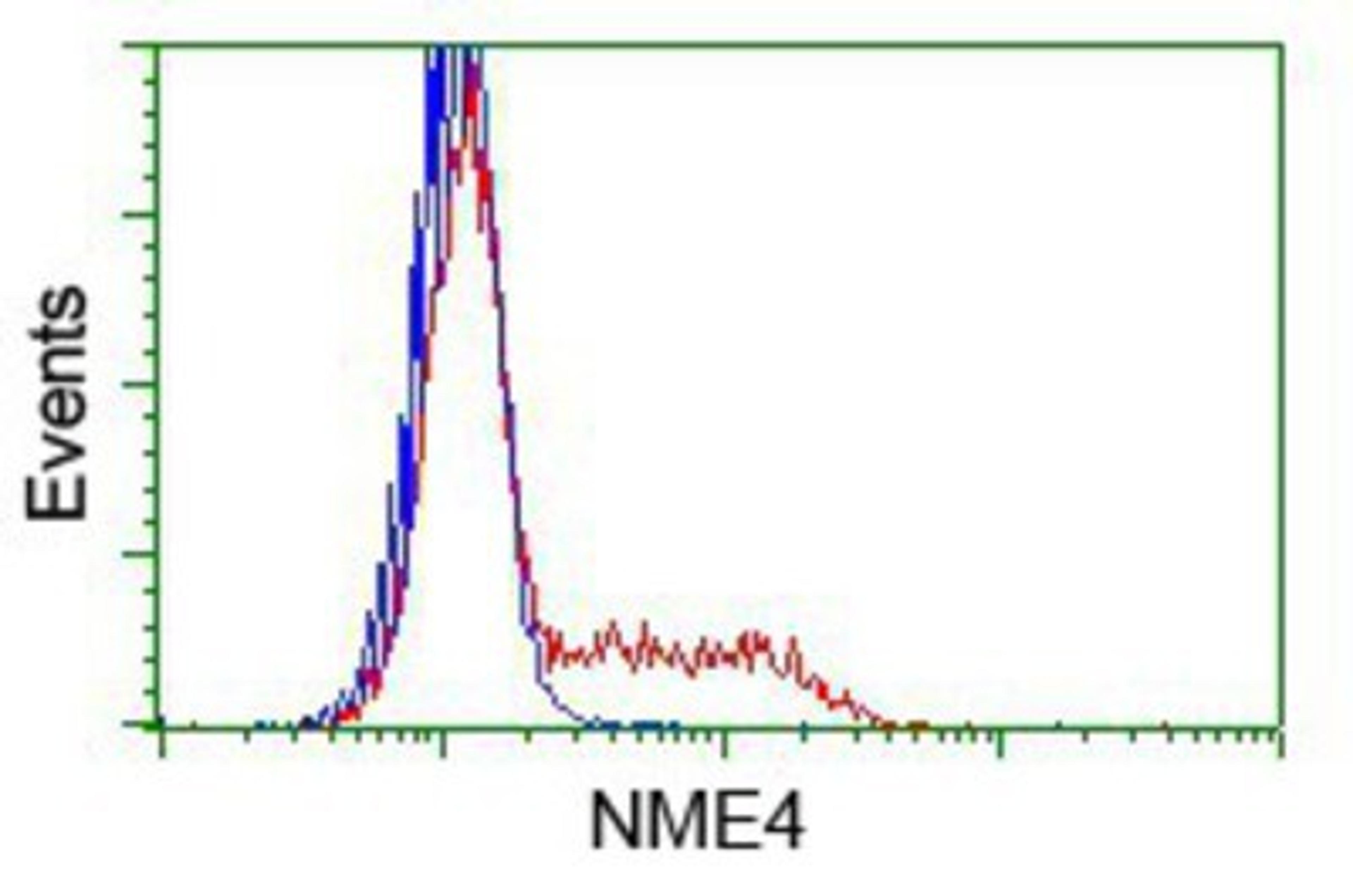 Flow Cytometry: NME4 Antibody (1A5) [NBP2-02487] - HEK293T cells transfected with either pCMV6-ENTRY NME4.(Red) or empty vector control plasmid (Blue) were immunostained with anti-NME4 mouse monoclonal, and then analyzed by flow cytometry.