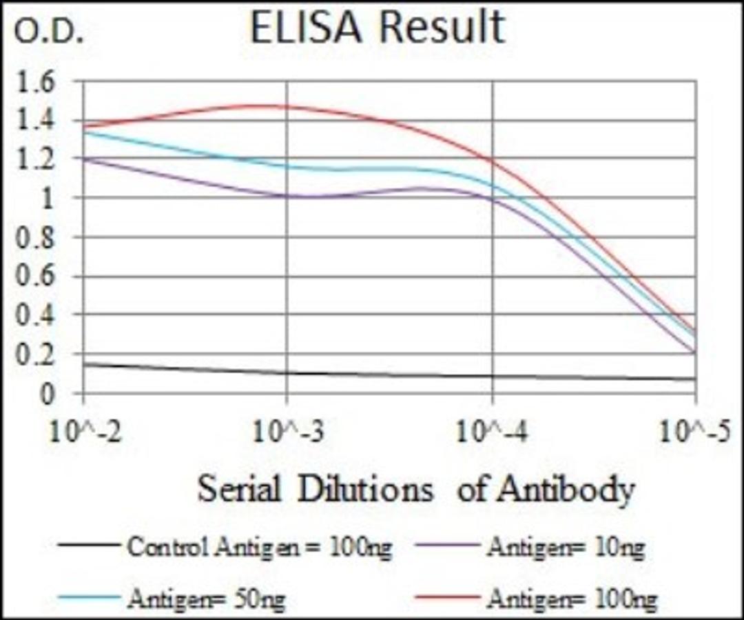 ELISA: ABCB5 Antibody (5H3C6) [NBP2-22213] - Red: Control Antigen (100ng); Purple: Antigen (10ng); Green: Antigen (50ng); Blue: Antigen (100ng)