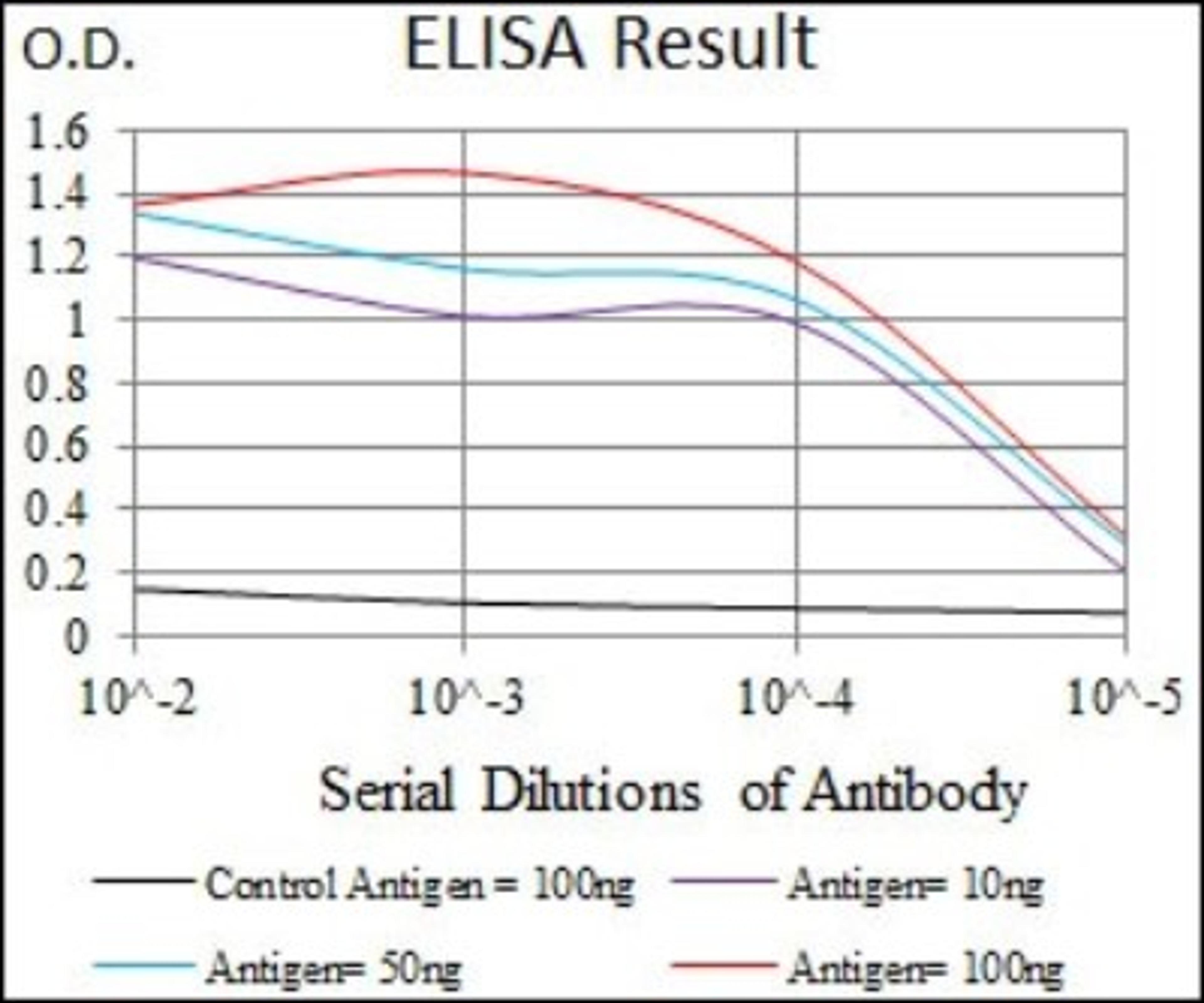 ELISA: ABCB5 Antibody (5H3C6) [NBP2-22213] - Red: Control Antigen (100ng); Purple: Antigen (10ng); Green: Antigen (50ng); Blue: Antigen (100ng)