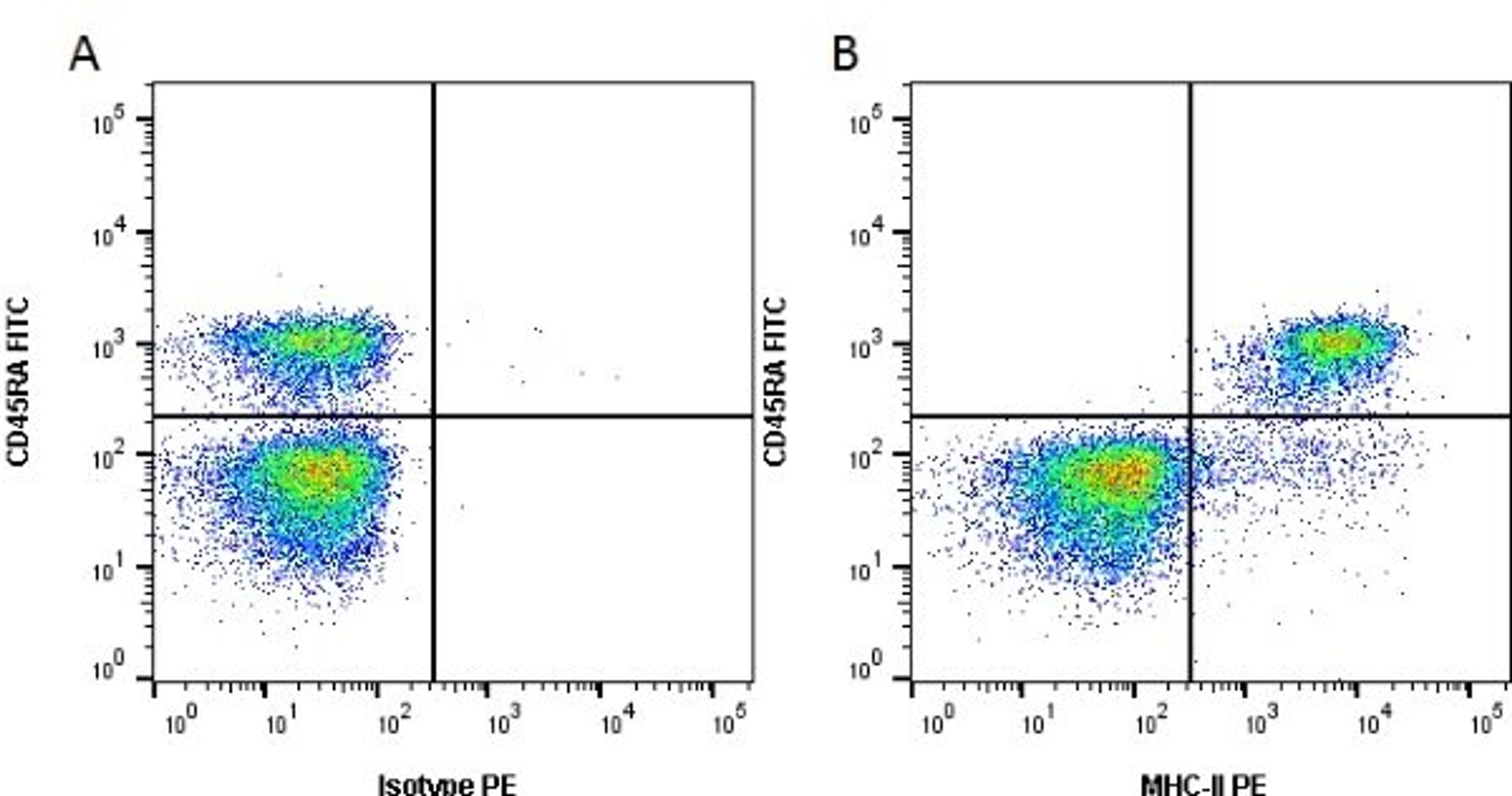 Figure A. Mouse anti Rat CD45RA. Figure B. Rat anti Mouse CD45RA and Mouse anti Rat MHC-II. 