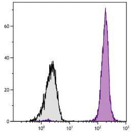 Chicken peripheral blood mononuclear cells were stained with Mouse Anti-Chicken CD45-PE (Cat. No. 99-243).