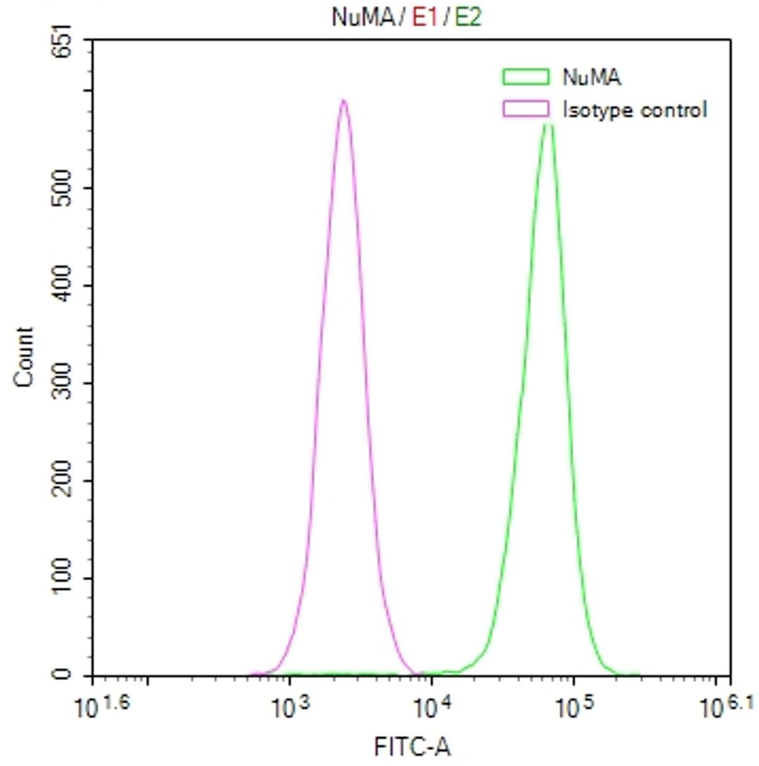 Overlay Peak curve showing Hela cells stained with CSB-RA182340A0HU (red line) at 1:50. The cells were fixed in 4% formaldehyde and permeated by 0.2% TritonX-100. Then 10% normal goat serum to block non-specific protein-protein interactions followed by the antibody (1µg/1*10<sup>6</sup>cells) for 45min at 4℃. The secondary antibody used was FITC-conjugated Goat Anti-rabbit IgG(H+L) at 1:200 dilution for 35min at 4℃.Control antibody (green line) was rabbit IgG (1µg/1*10<sup>6</sup>cells) used under the same conditions. Acquisition of >10,000 events was performed.