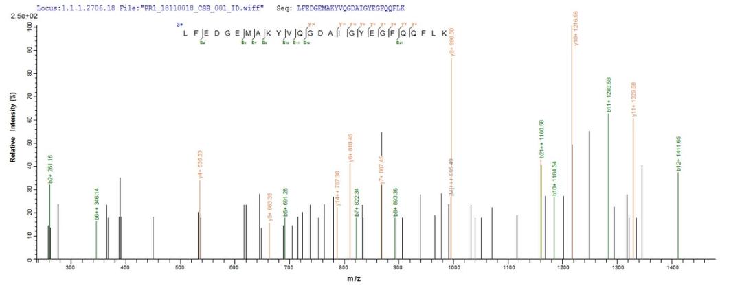 Based on the SEQUEST from database of Baculovirus host and target protein, the LC-MS/MS Analysis result of CSB-BP006832HU could indicate that this peptide derived from Baculovirus-expressed Homo sapiens (Human) DGKA.