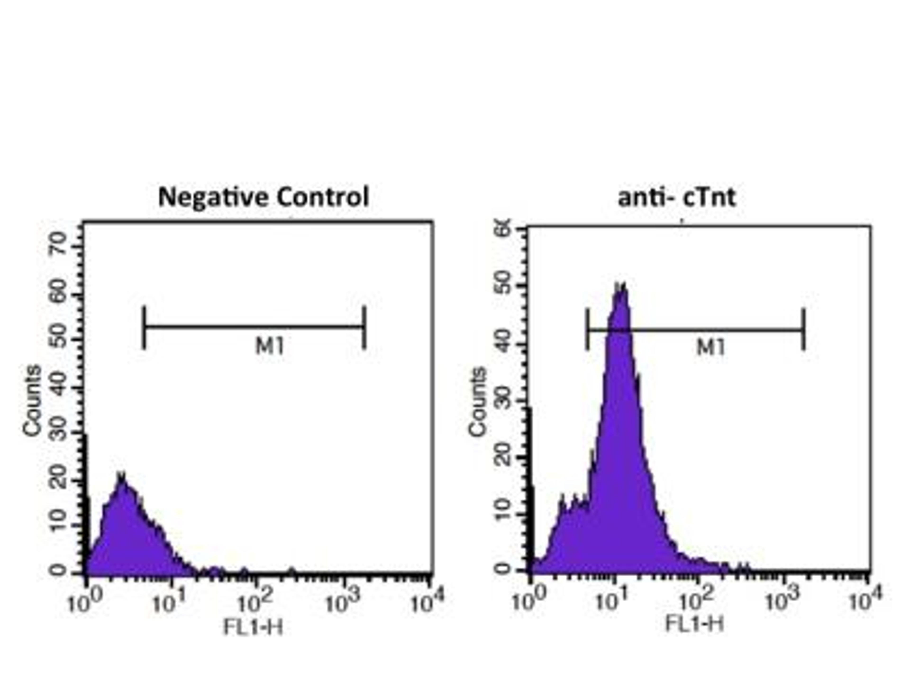 Flow Cytometry: Troponin I Type 3 (cardiac) Antibody (19C7) [NB110-2546] - FACS analysis of Troponin I Type 3 in differentiated ESC cultures using anti-Troponin I Type 3 (cardiac) antibody. Image from verified customer review.