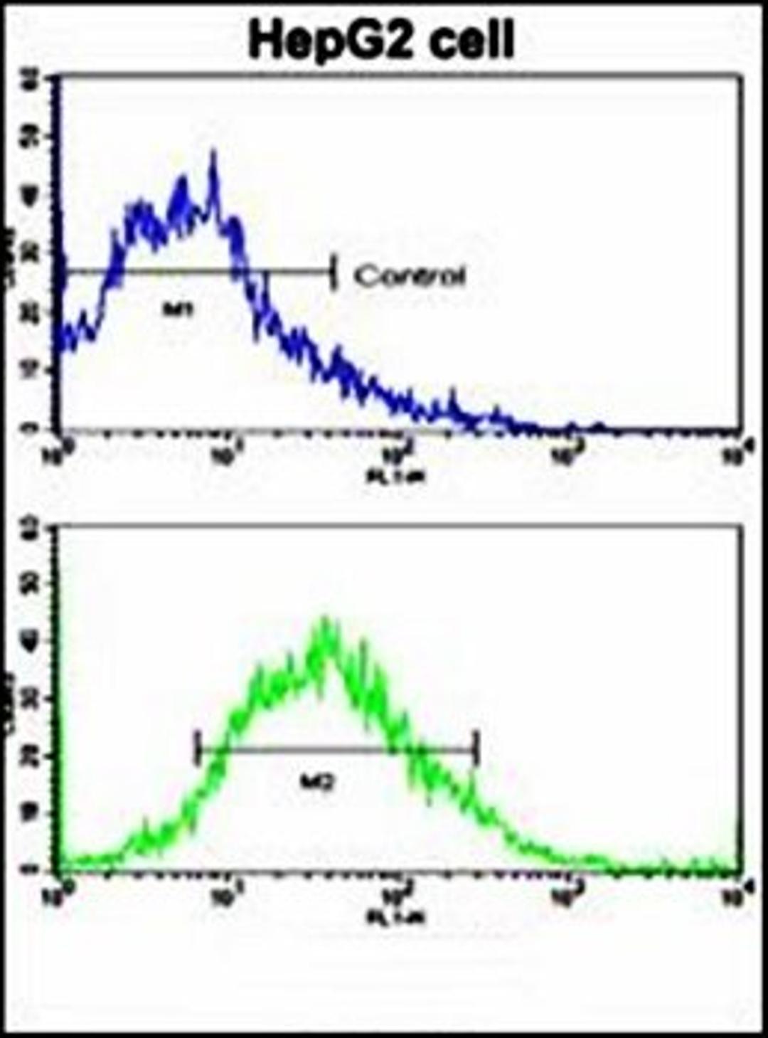 Flow cytometric analysis of HepG2 cells using LGR5/GPR49 antibody