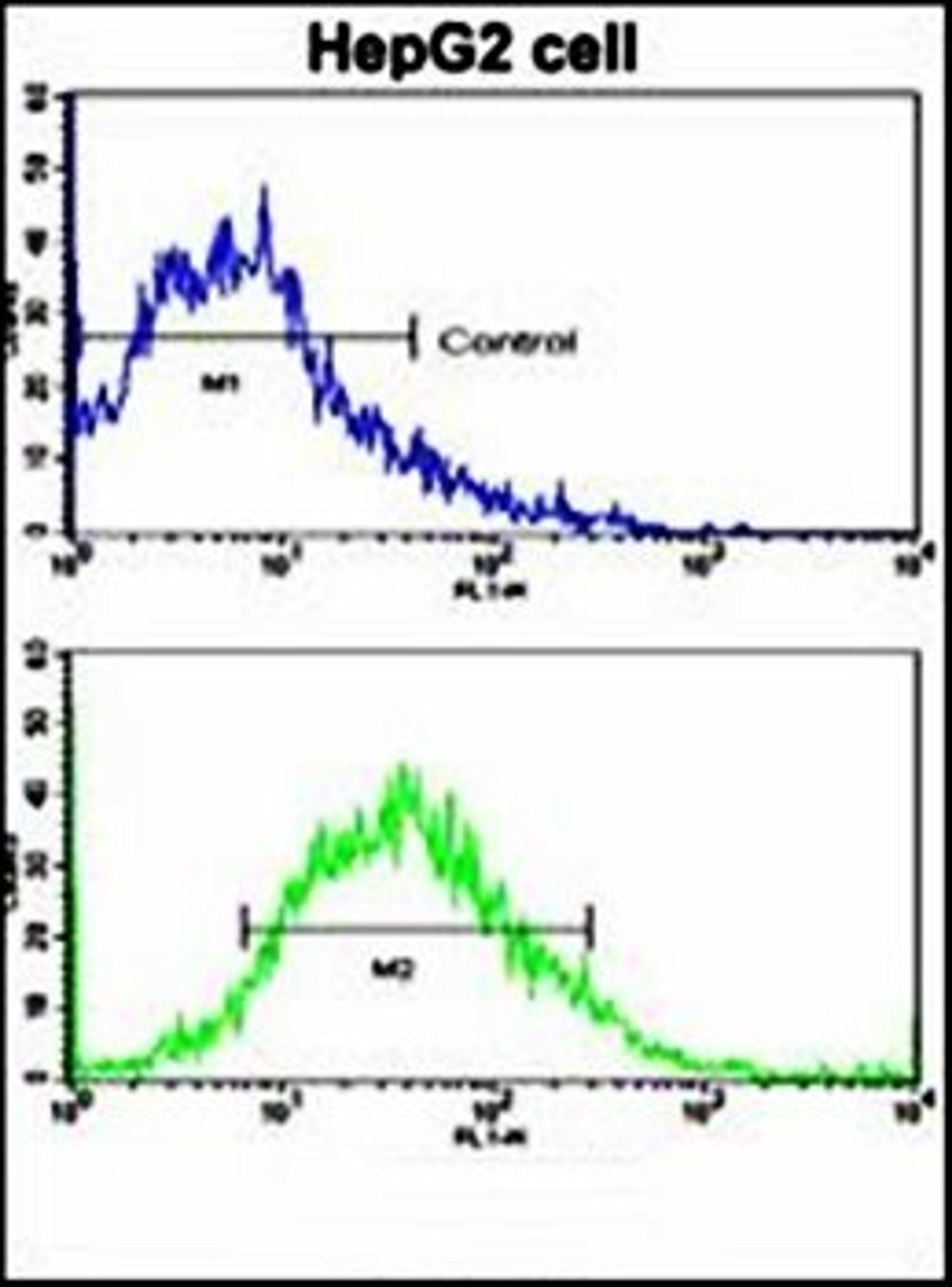 Flow cytometric analysis of HepG2 cells using LGR5/GPR49 antibody