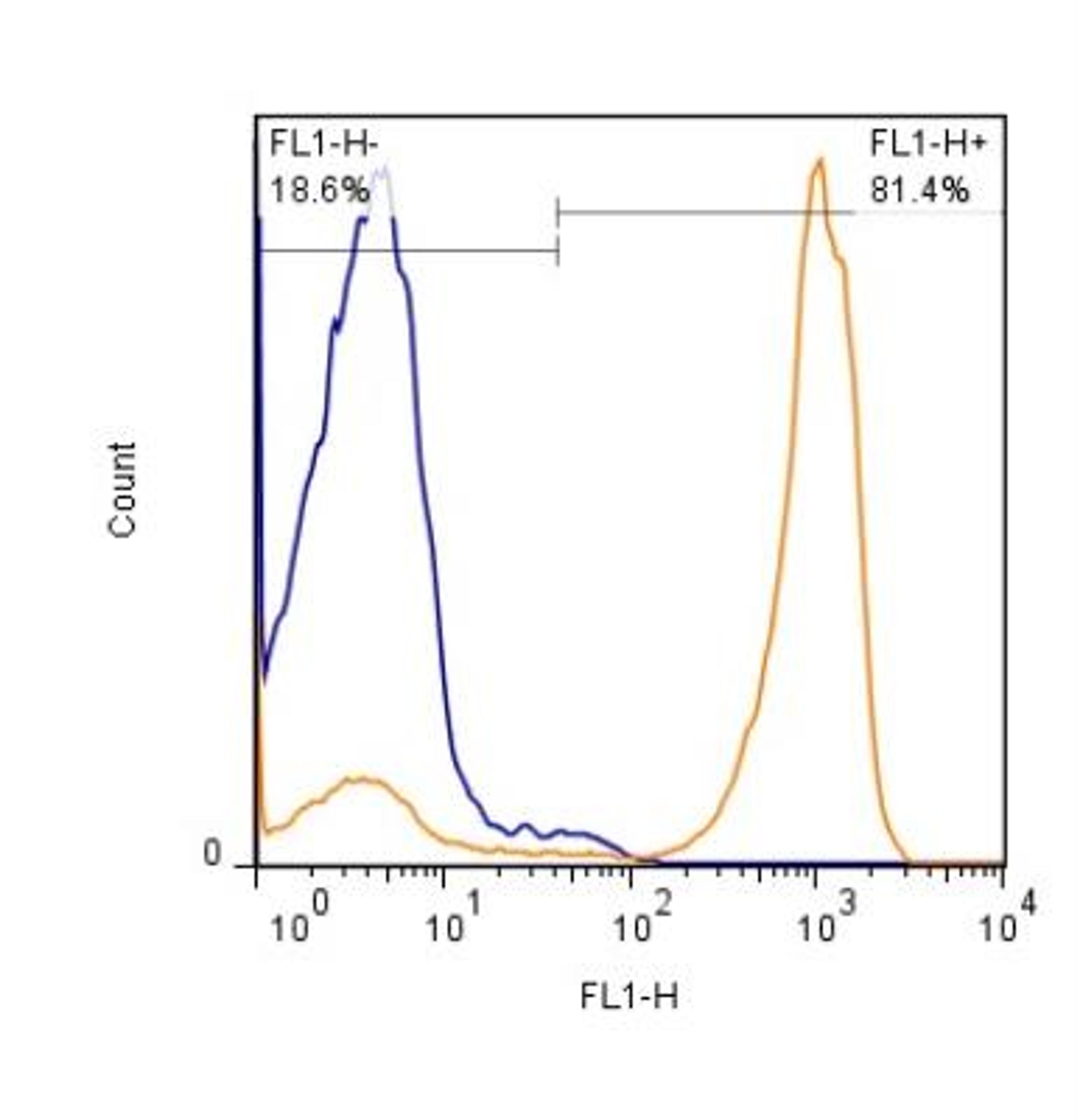 Flow Cytometry: CD45 Antibody (30-F11) [NB100-77417] - Analysis of CD45 (30F11) in freshly isolated mouse  (Balb C) splenocytes (1x10^6) were stained with CD45 antibody (NB100-77417) at 1:1000 dilution and detected with FITC conjugated donkey anti-rat IgG secondary (orange). Shown with rat IgG isotype control (blue).