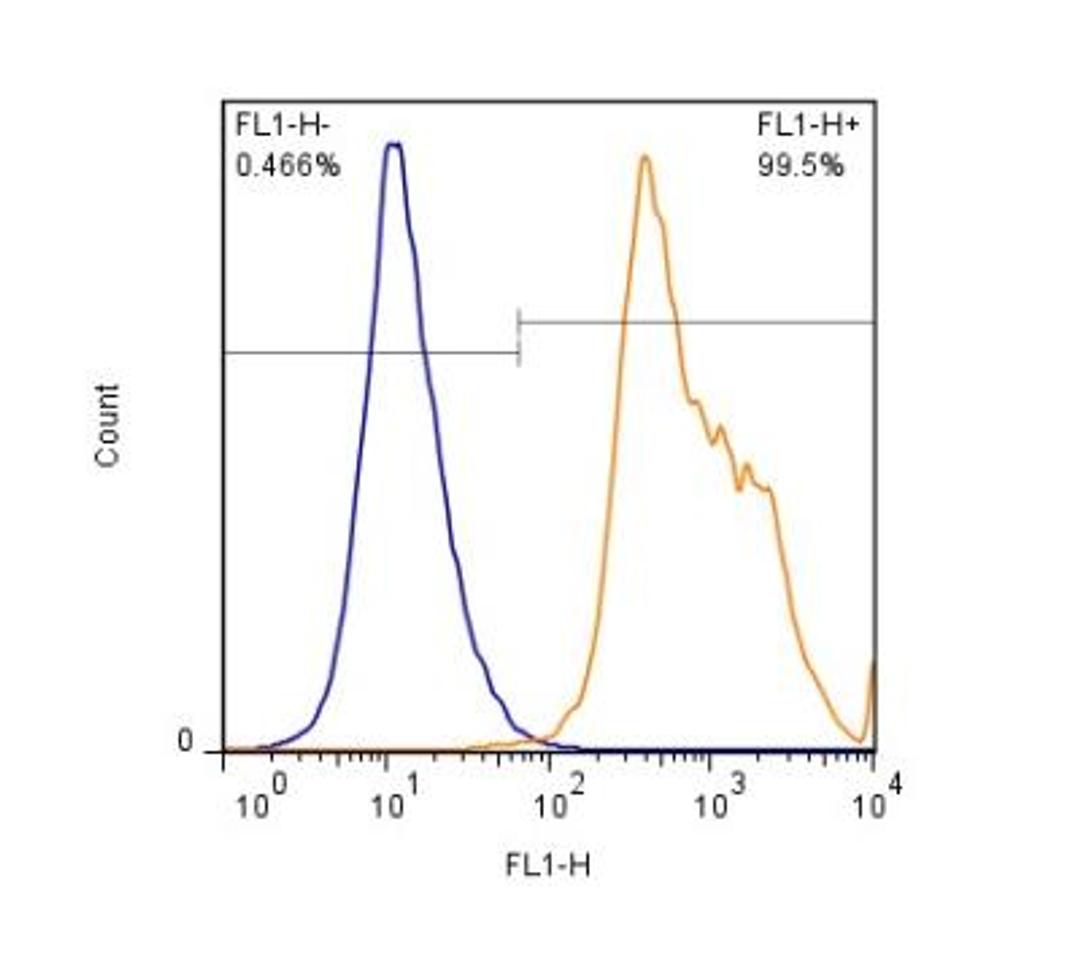 Flow (Intracellular): Latexin Antibody [NBP2-24530] - Cytoclasmic staining of PBMC's(lymphocyte gate at 1 x 10^6 cells/ml) with Latexin antibody (orange) stained at a dilution of 1:1000. Detected with a GtxRb Dylight 488 secondary. Shown with the secondary control (blue).