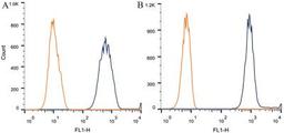 Flow Cytometry: alpha Tubulin Antibody (DM1A) [NB100-690] - Intracellular flow cytometric staining of 1 x 10^6 CHO (A) and HEK-293 (B) cells using alpha Tubulin antibody (dark blue). Isotype control shown in orange. An antibody concentration of 1 ug/1x10^6 cells was used.