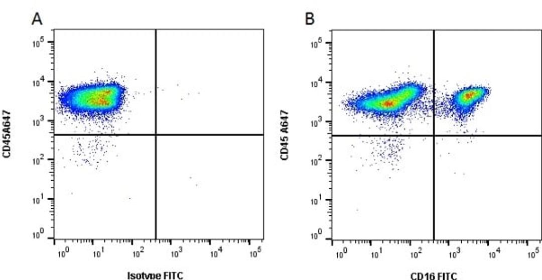 Figure A. mouse anti porcine CD45. Figure B. mouse anti porcine CD45 and mouse anti porcine CD16.