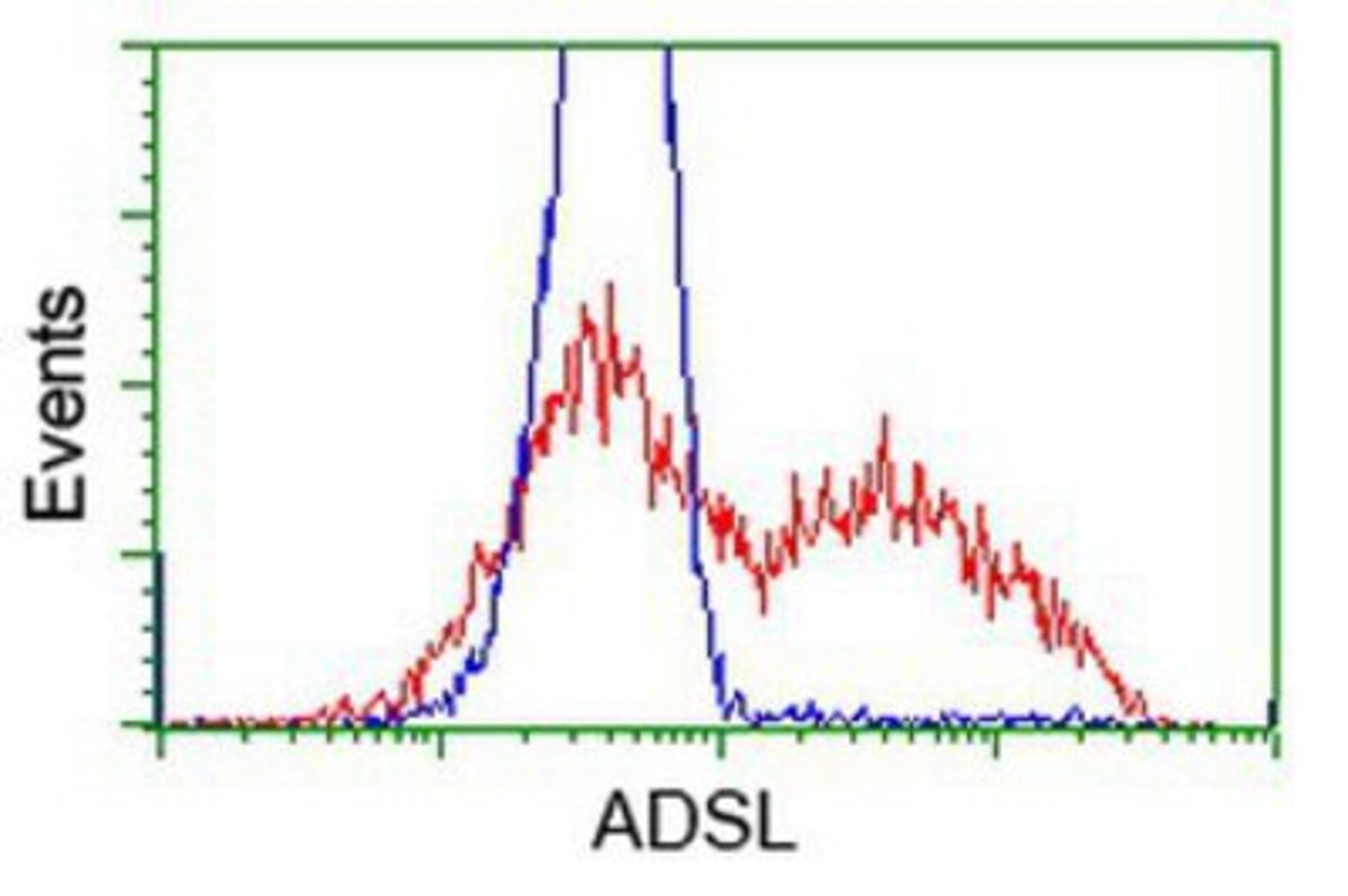 Flow Cytometry: Adenylosuccinate Lyase Antibody (2D10) [NBP2-03107] - HEK293T cells transfected with either overexpression plasmid (Red) or empty vector control plasmid (Blue) were immunostained by anti-Adenylosuccinate Lyase antibody, and then analyzed by flow cytometry.