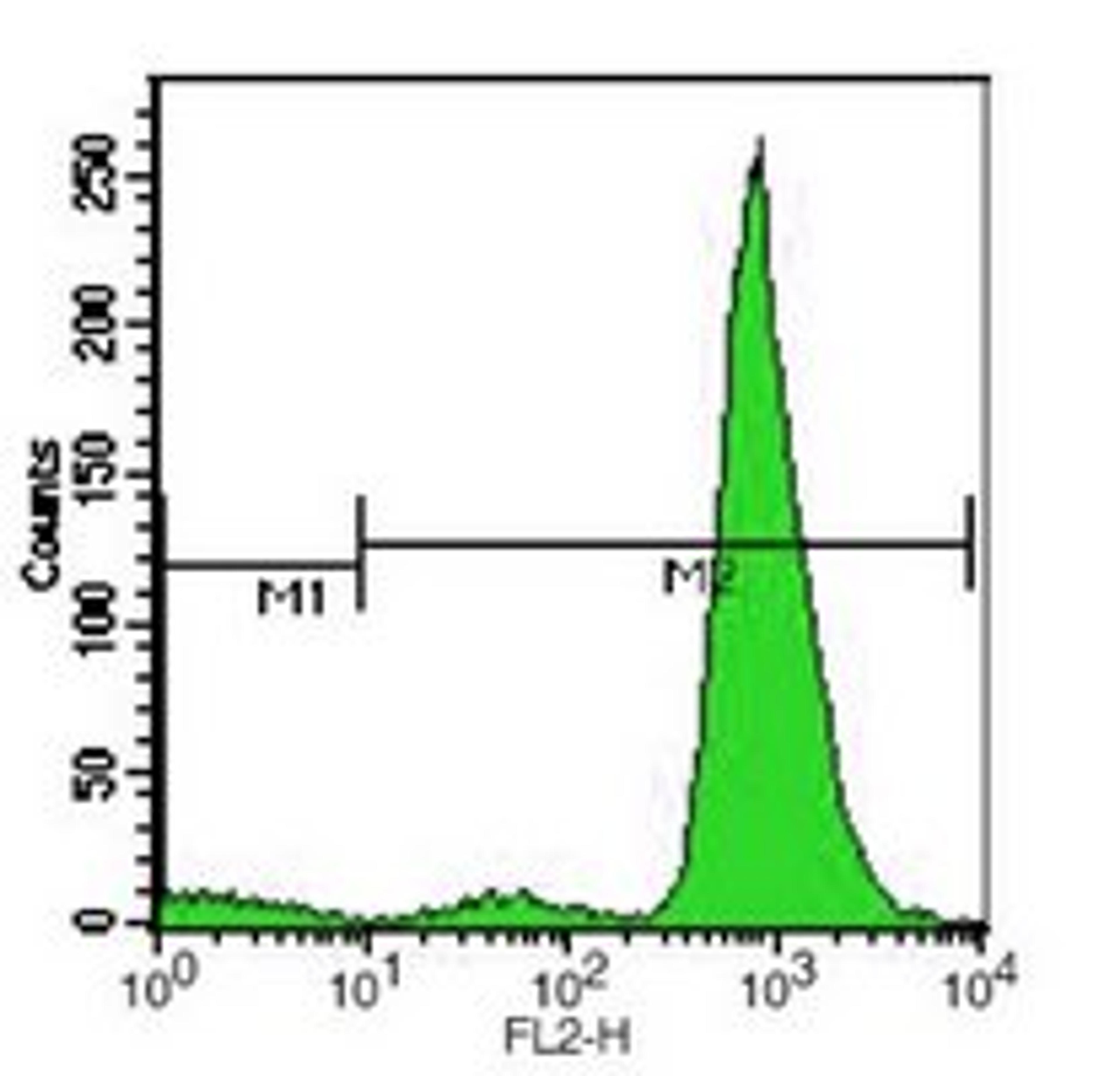 Flow cytometric analysis of human platelets using CD61 antibody (PE)