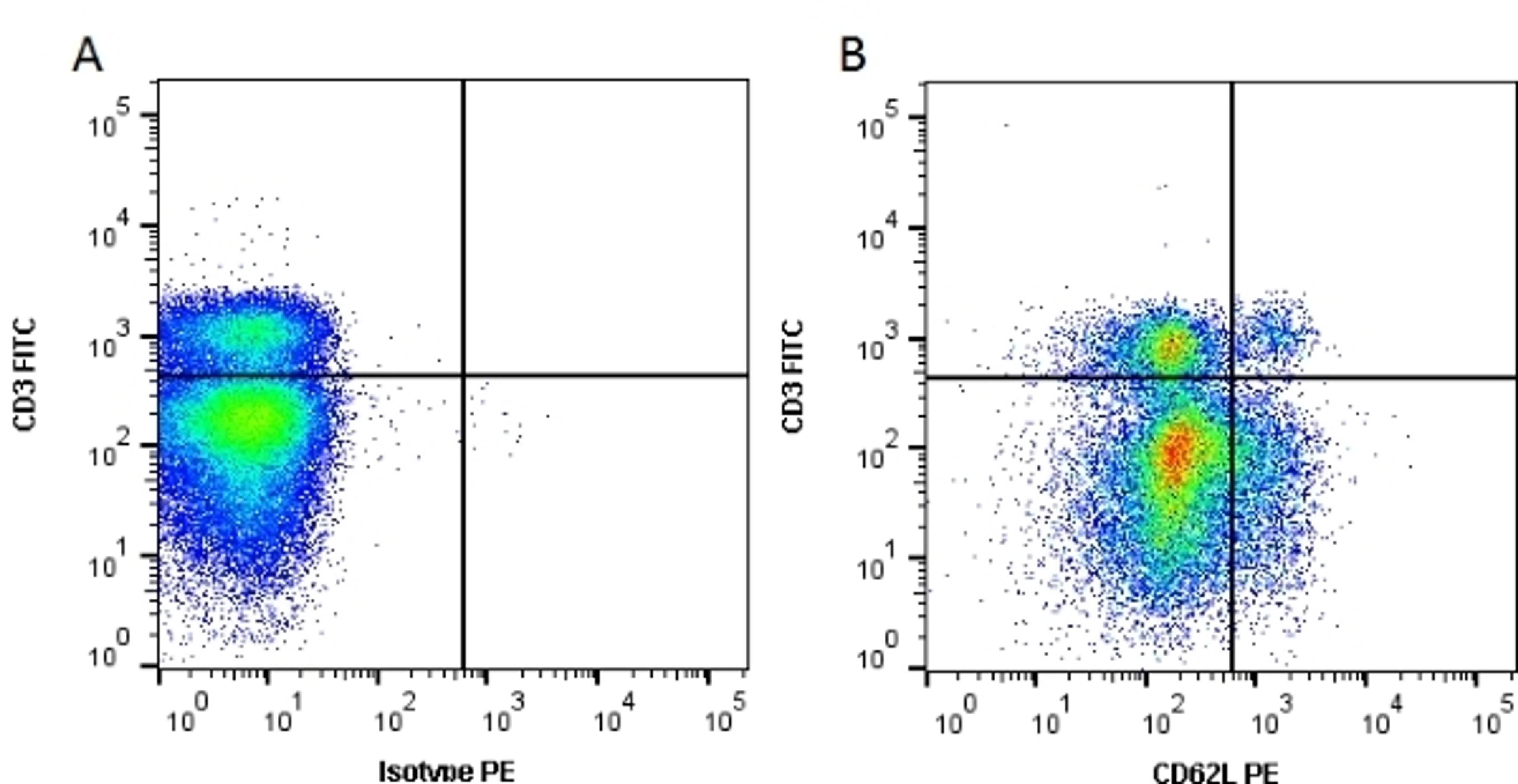 Figure A. rat anti mouse CD3. Figure B. rat anti mouse CD3 and rat anti mouse CD62L. 