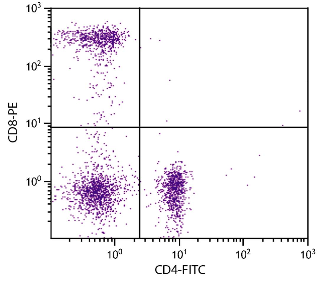 Human peripheral blood lymphocytes were stained with Mouse Anti-Human CD8-PE (Cat. No. 99-448) and Mouse Anti-Human CD4-FITC .