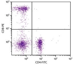 Human peripheral blood lymphocytes were stained with Mouse Anti-Human CD8-PE (Cat. No. 99-448) and Mouse Anti-Human CD4-FITC .