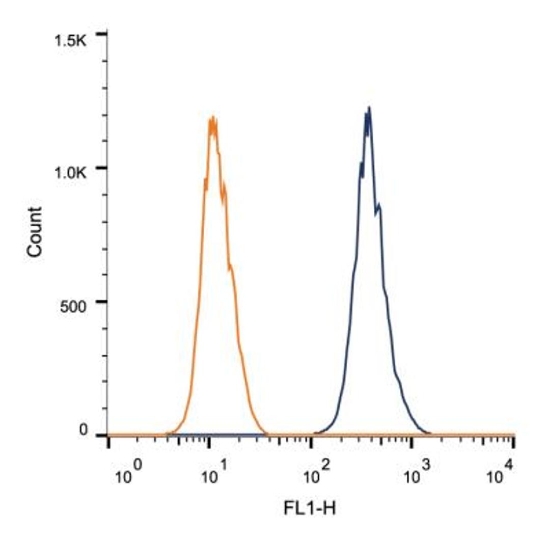 Flow Cytometry: CUGBP1 Antibody (3B1) [NB200-316] - Intracellular flow cytometric staining of 1 x 10^6 MCF-7 cells using CUGBP1 antibody (dark blue). Isotype control shown in orange. An antibody concentration of 1 ug/1x10^6 cells was used.