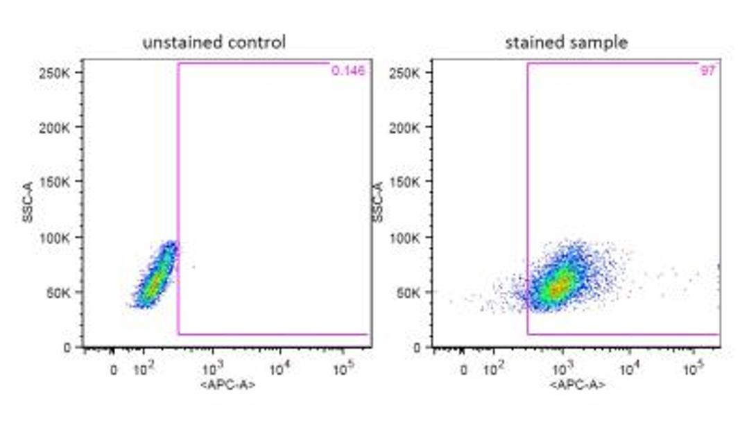 Flow Cytometry: Myeloid-Associated Differentiation Marker Antibody [NBP2-24494] - Flow analysis of AML cell line using Myeloid-Associated Differentiation Marker Antibody. Image from verified customer review.