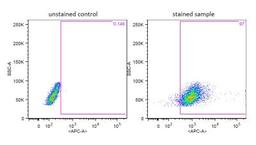 Flow Cytometry: Myeloid-Associated Differentiation Marker Antibody [NBP2-24494] - Flow analysis of AML cell line using Myeloid-Associated Differentiation Marker Antibody. Image from verified customer review.