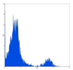 Flow cytometric analysis of human peripheral blood lymphocytes using CD21 antibody (PE)