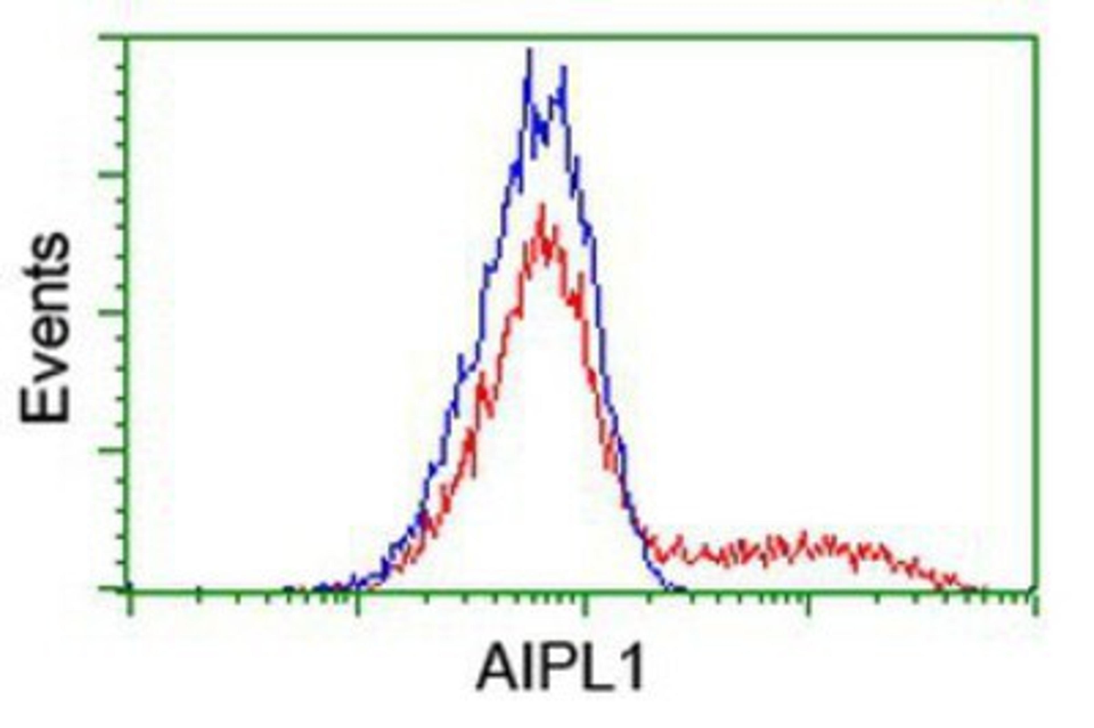 Flow Cytometry: AIPL1 Antibody (3B4) [NBP2-01327] - HEK293T cells transfected with either overexpression plasmid (Red) or empty vector control plasmid (Blue) were immunostained by anti-AIPL1 antibody, and then analyzed by flow cytometry.