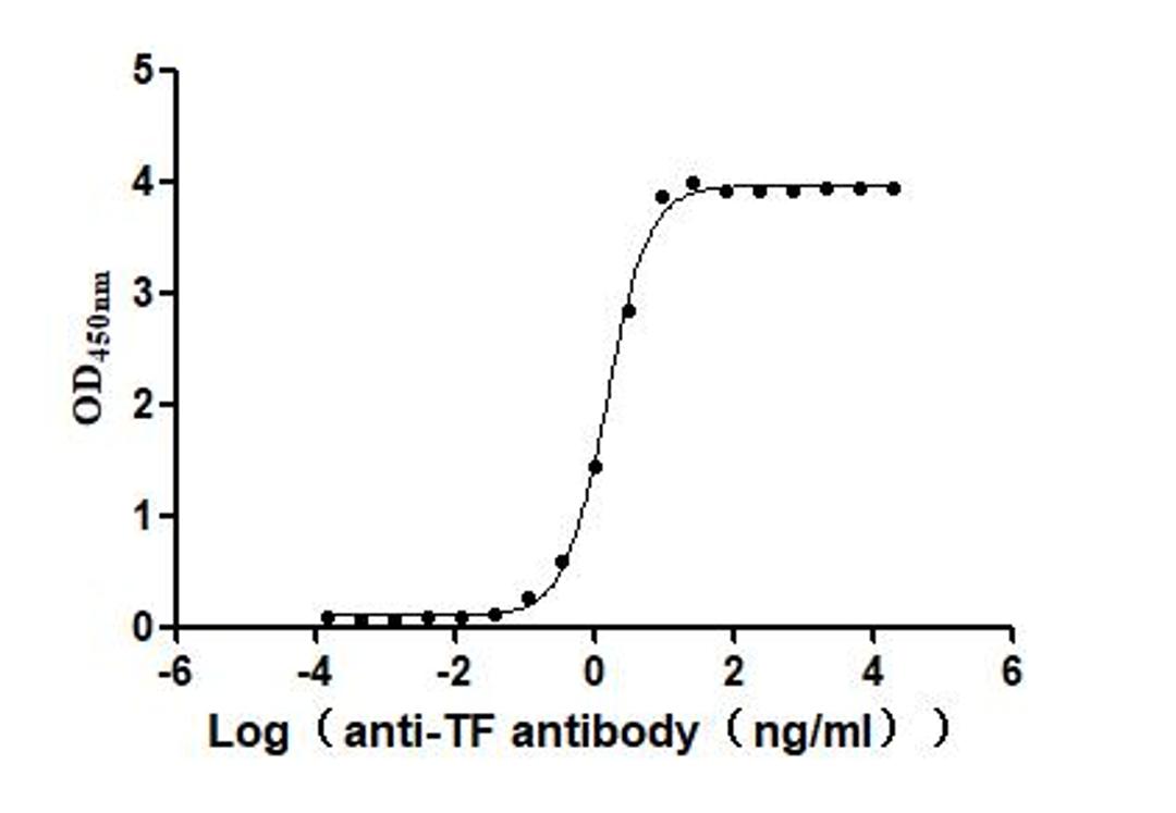 The Binding Activity of Human TF with Anti-TF Recombinant Antibody. Activity: Measured by its binding ability in a functional ELISA. Immobilized Human TF (CSB-MP007928HU2) at 2 μg/mL can bind Anti-TF recombinant antibody. The EC<sub>50</sub> is 1.434-1.635 ng/mL.