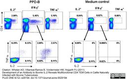 Phycoerythrin conjugated Mouse anti Bovine TNF alpha used for the evaluation of TNF-alpha expression