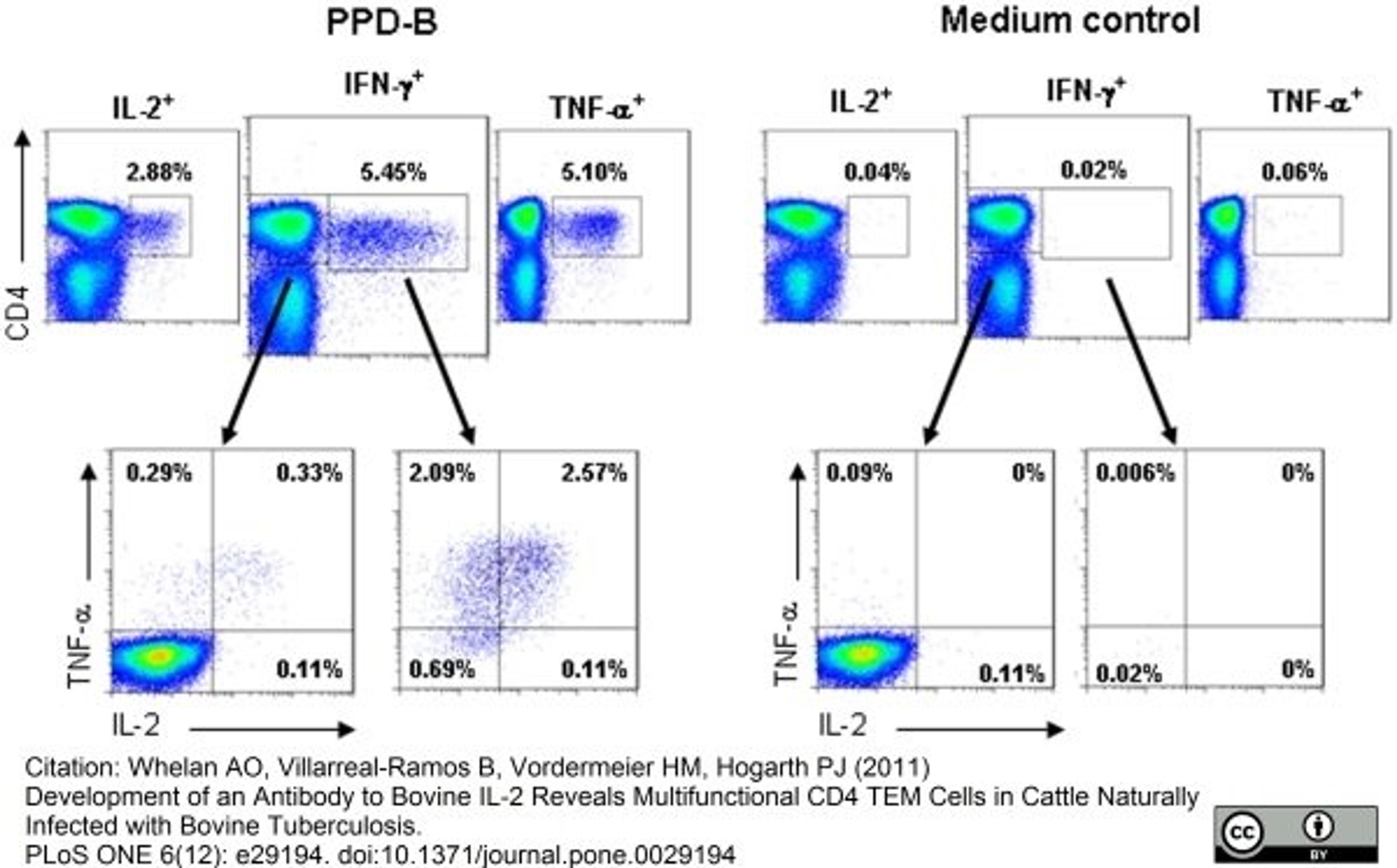 Phycoerythrin conjugated Mouse anti Bovine TNF alpha used for the evaluation of TNF-alpha expression