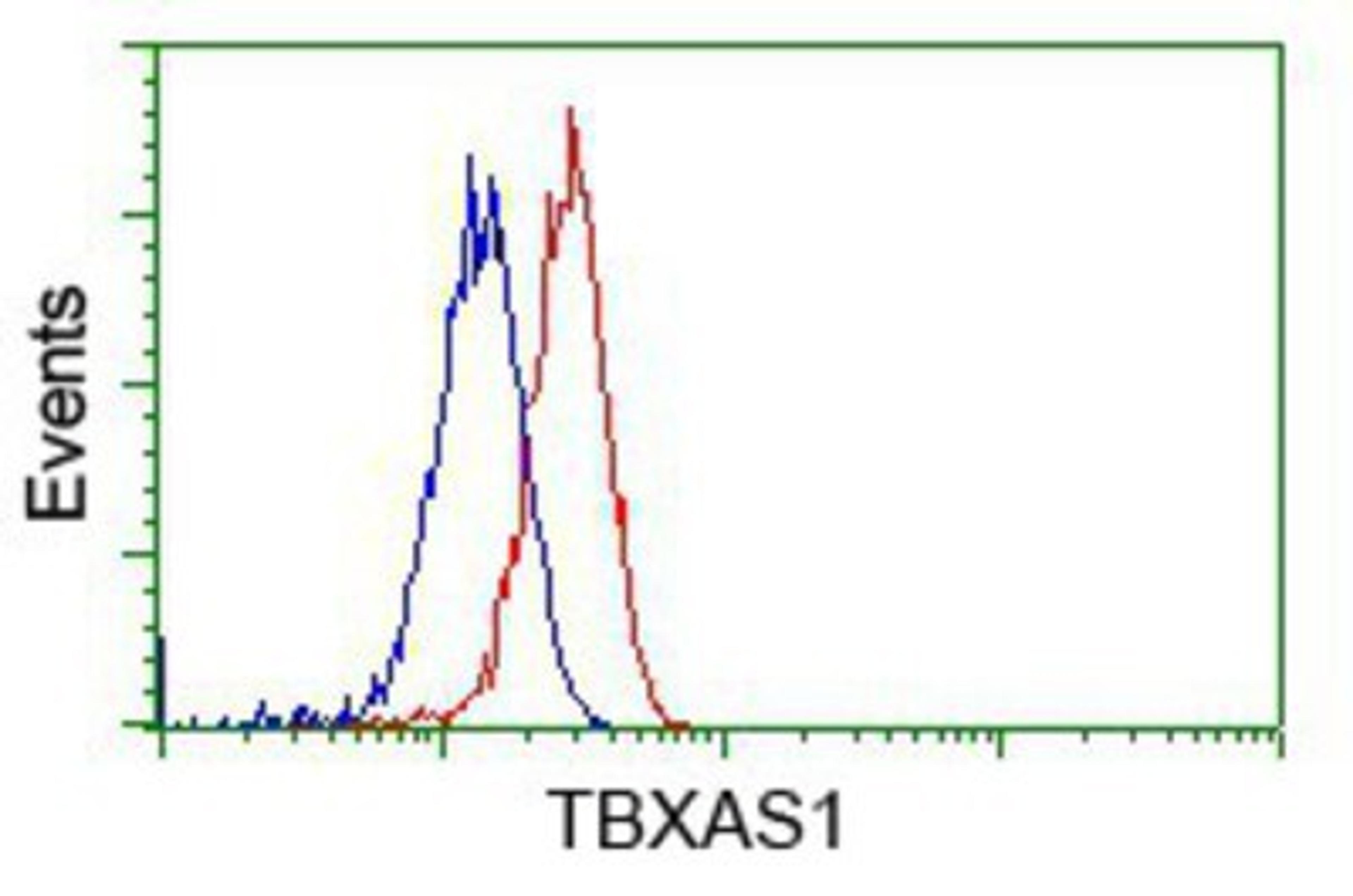 Flow Cytometry: Thromboxane synthase Antibody (2C1) [NBP2-02710] - Analysis of Hela cells, using anti-Thromboxane synthase antibody, (Red), compared to a nonspecific negative control antibody (Blue).