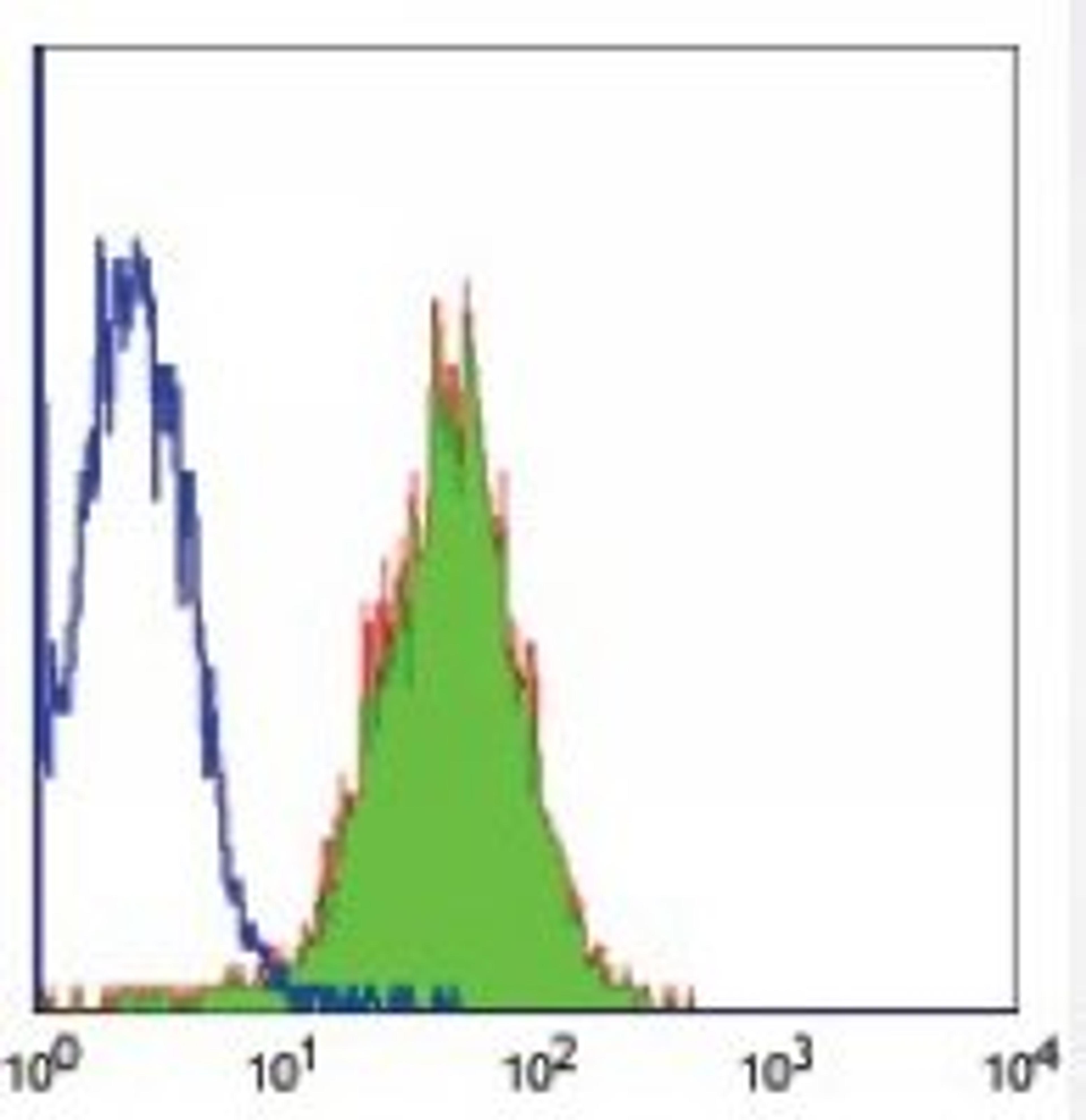 Flow cytometric analysis of Daudi cells using CD86 antibody (PE)