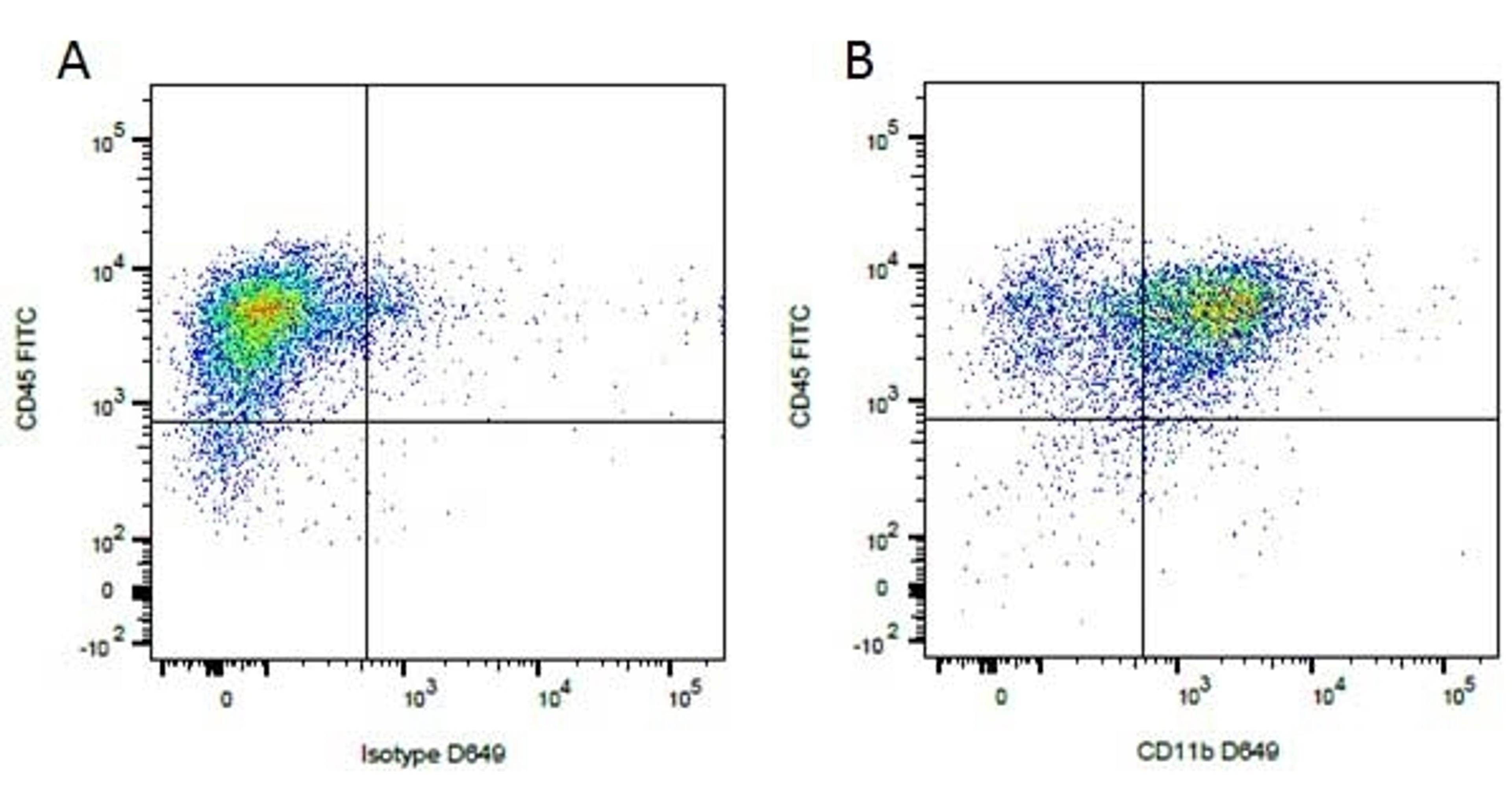 Figure A. Mouse anti Canine CD45. Figure B. Mouse anti Canine CD45 and Mouse anti Canine CD11b.