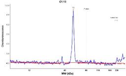 Simple Western: ZDHHC2 Antibody [NBP2-13541] - Electropherogram image(s) of corresponding Simple Western lane view. ZDHHC2 antibody was used at 1:20 dilution on Liver lysate(s).