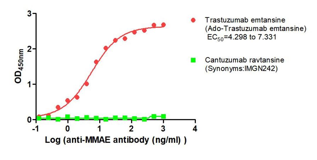 The Binding Activity of Trastuzumab emtansine (Ado-Trastuzumab emtansine) and Cantuzumab ravtansine (Synonyms:IMGN242) with Anti-DM1 antibody. Activity: Measured by its binding ability in a functional ELISA. Immobilized Trastuzumab emtansine (Ado-Trastuzumab emtansine) and Cantuzumab ravtansine (Synonyms:IMGN242) at 2 μg/mL can bind Anti-DM1 antibody, the EC<sub>50</sub> is 4.298 to 7.331 ng/mL and no.