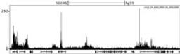 Localization of CBX2 Binding Sites by ChIP-sequencing.