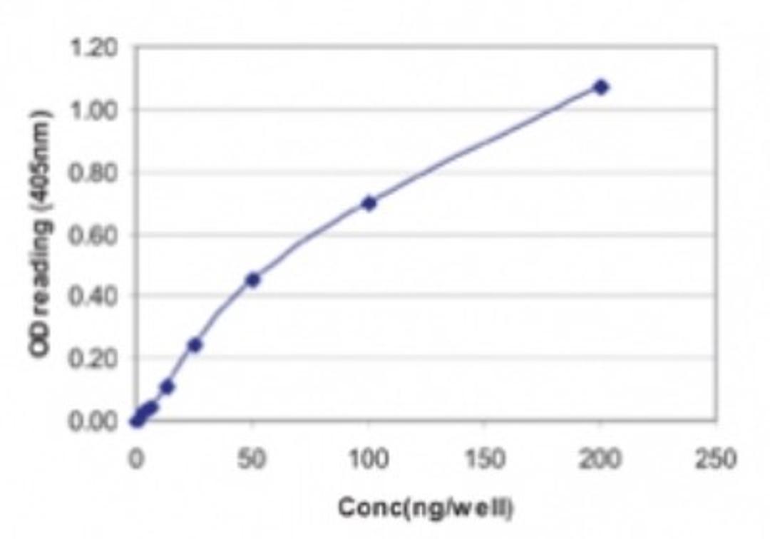 ELISA: Influenza A nucleoprotein Antibody (2F205) [NBP2-24871] - Influenza A standard curve. Influenza A/NP-A mAb, clone 2F205 was used as the capture antibody. Influenza A/NP-A pAb was used as the detection antibody. Recombinant Influenza A Nucleoprotein was used as the protein standard. Researchers should empirically determine the optimal antibody concentrations for their ELISA assays.