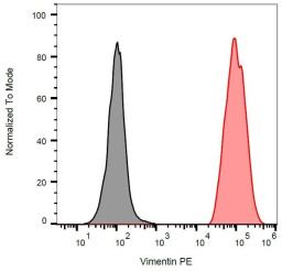 Flow cytometric analysis of ESS-1 cells using Vimentin antibody (APC)