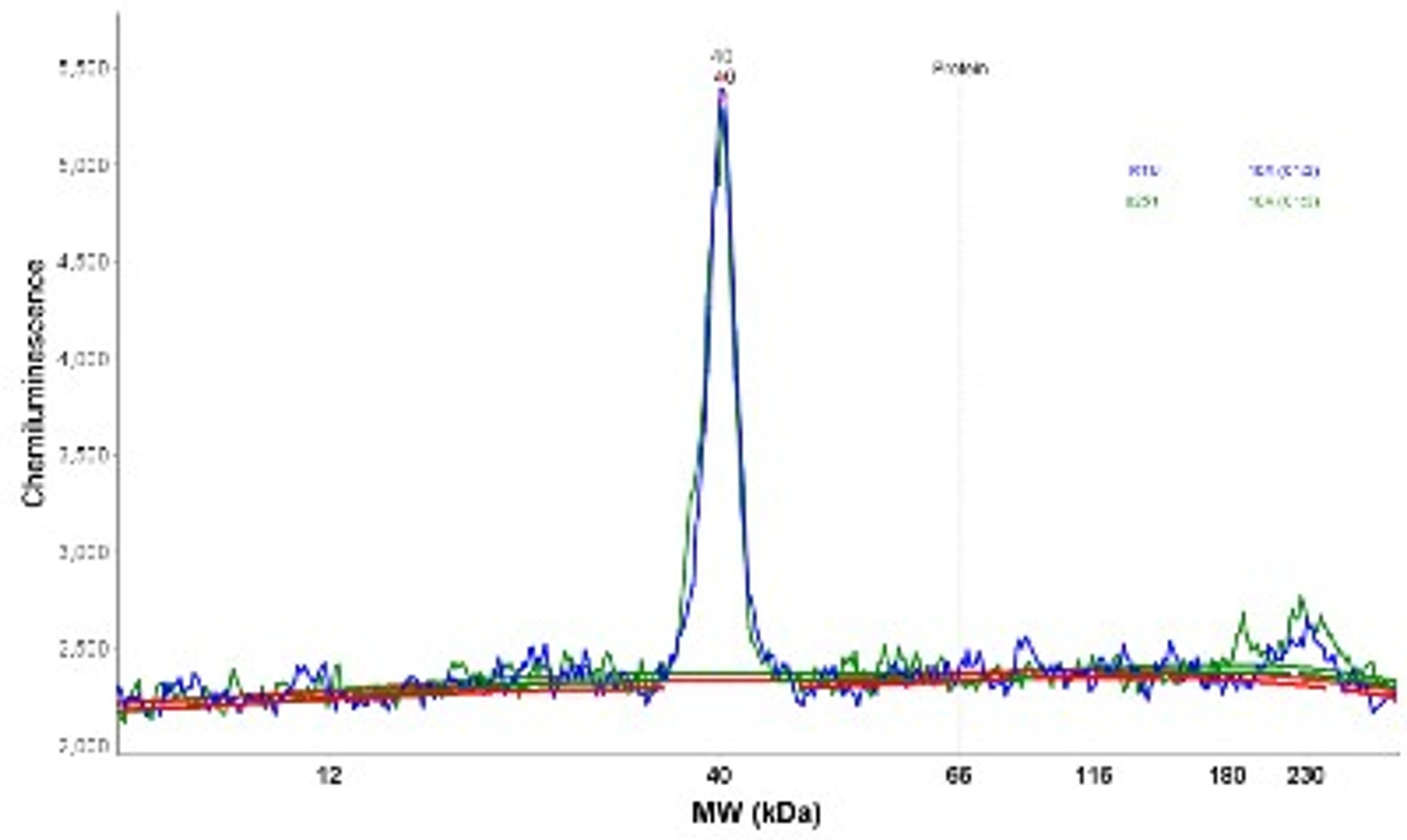 Simple Western: STX17 Antibody [NBP1-93968] - Electropherogram image(s) of corresponding Simple Western lane view. STX17 antibody was used at 1:30 dilution on RT-4 and U-251MG sp lysates(s).